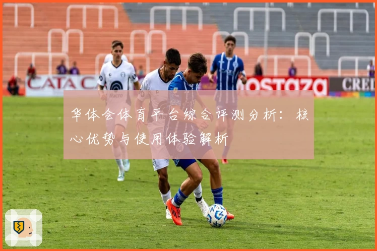 华体会体育平台综合评测分析：核心优势与使用体验解析